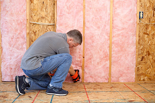 Best Insulation Installation Services in Phillipsburg, GA